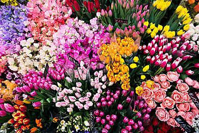 《原神》官方3月壁纸发布 西风骑士团可爱女仆诺艾尔